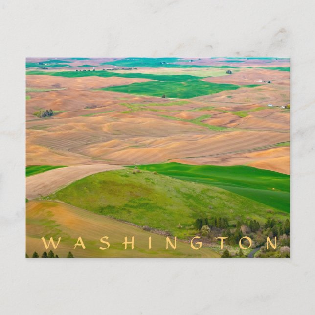 Über dem bemalten Palast von Steptoe Butte Postkarte (Vorderseite)