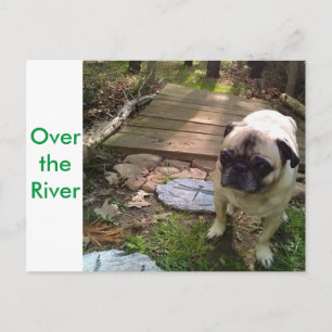 Über dem Fluss Postkarte