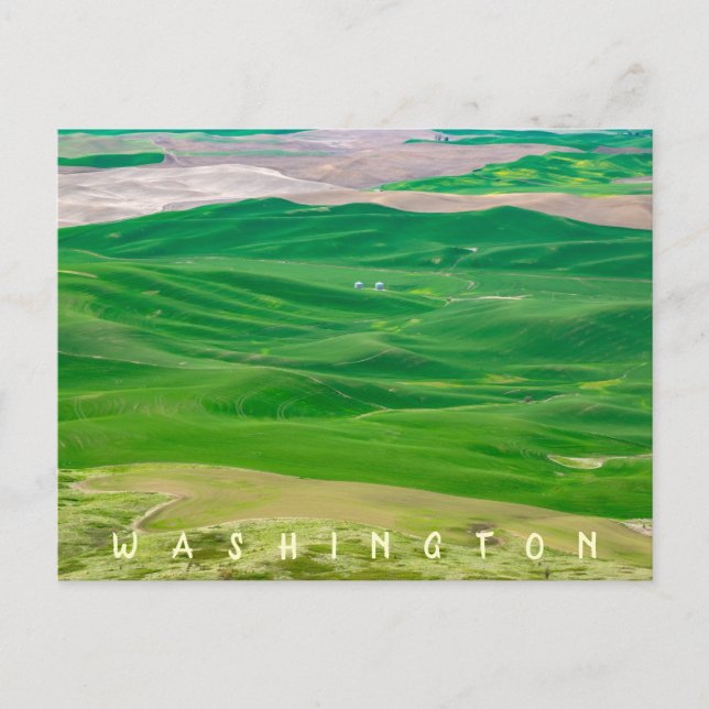 Über dem grünen Palouse von Steptoe Butte Postkarte (Vorderseite)