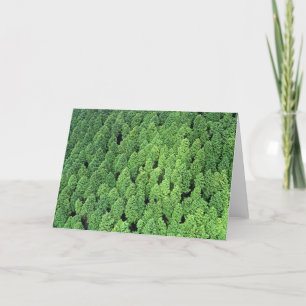 Über dem Wald Karte