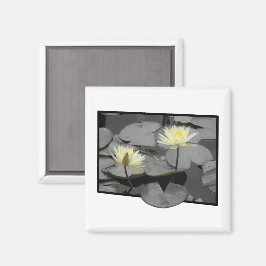 Über den Rahmen hinaus blühen Magnet