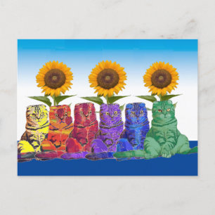 Über den Regenbogen Katzen   Postkarte