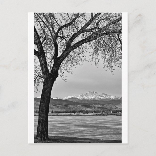 Über den See in Schwarz und Weiß Postkarte (Vorderseite)