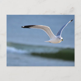 Über den Wellen Postkarte