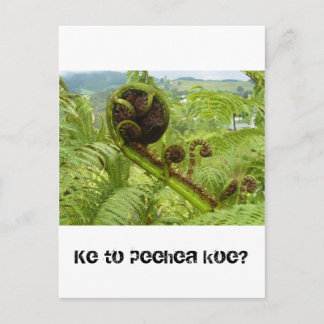 Über der Canopy: Kiwiana Postkarte