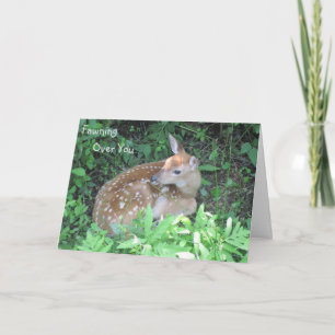 Über dir erträumt karte