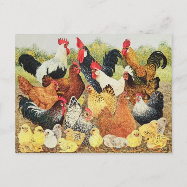 Über etwas zu reden postkarte (Vorderseite)