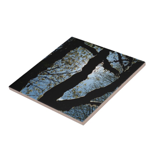 ÜBER FLIESE (Seite)