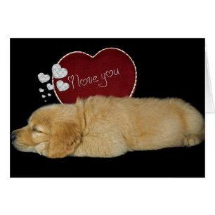 Über Liebe träumen