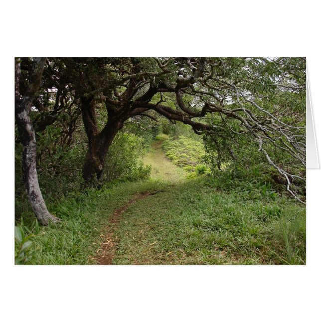 Über Manoa Valley (Vorderseite (Horizontal))