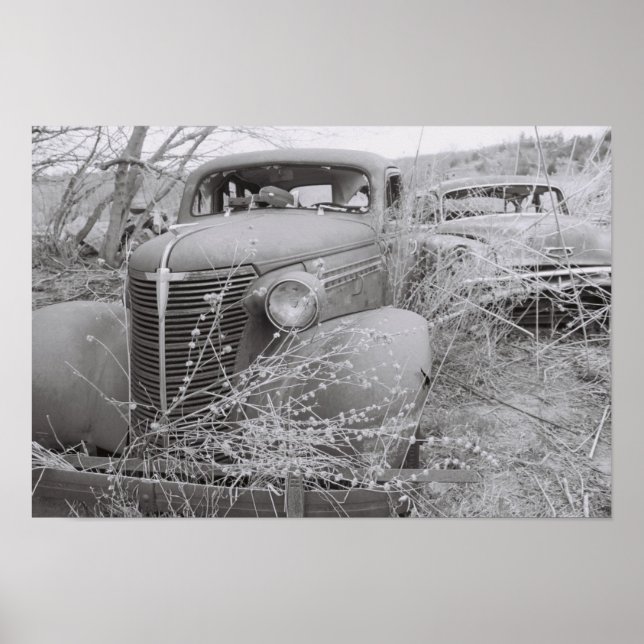 über poster (Vorne)