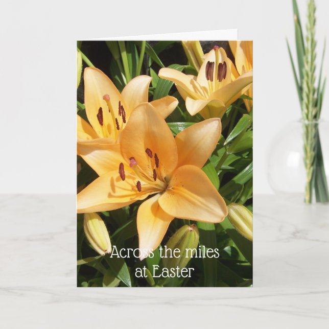 Überall in der Osterzeit Feiertagskarte (Vorderseite)