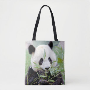 Überall in der Tasche. Foto Riesenpanda, Panda Ge