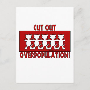 Überbevölkerungsreduzieren! Katzen Postkarte
