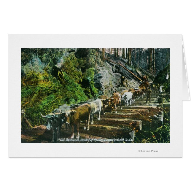 Überblick über die Hauling-Logs der Ox-Teams (Vorderseite (Horizontal))