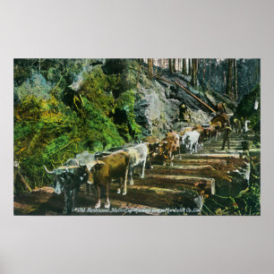 Überblick über die Hauling-Logs der Ox-Teams Poster