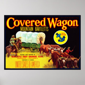 Überdeckte Wagenhalme Poster
