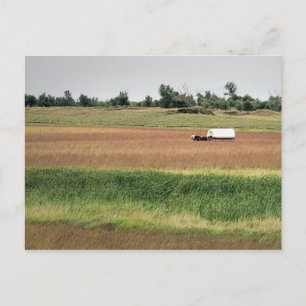 Überdeckter Wagen bei Laura Ingalls Wilder Homeste Postkarte