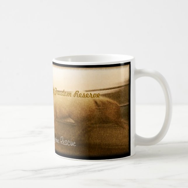 Überfallen Sie die Ranch-pferdeartige Rettung des Tasse (Rechts)