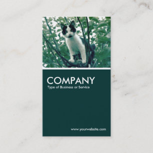 Überfluss der Naughtiness - Dunkelgrün Visitenkarte