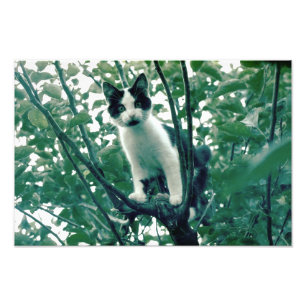 Überfluss der Naughtlichkeit Fotodruck