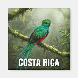 Überfluteter Nebelwald Quetzal Monteverde Magnet