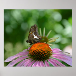 ÜBERGANG AUF POSTER