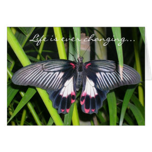 Übergang, Leben-Änderung