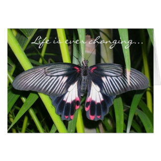 Übergang, Lebenswandel