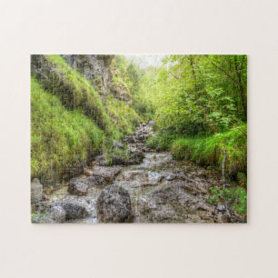 Übergewachsener Schwarzer Buchsensee Puzzle