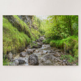 Übergewachsener Schwarzer Buchsensee Puzzle
