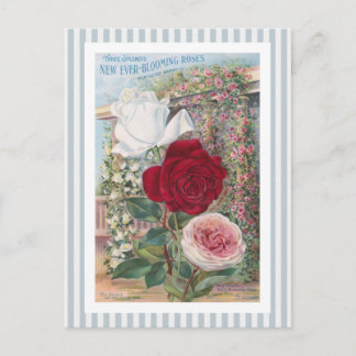 Überhaupt-Blühende Rosen-Vintage Kunst Postkarte