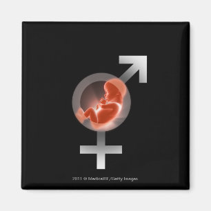 Überlagerter Fötus über männliche und weibliche Sy Magnet