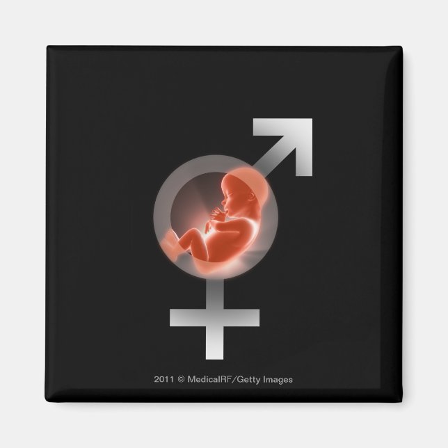 Überlagerter Fötus über männliche und weibliche Sy Magnet (Vorne)