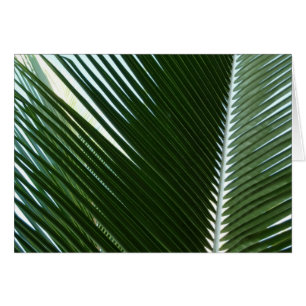Überlappen von Palm Fronds Tropical Green Abstrakt