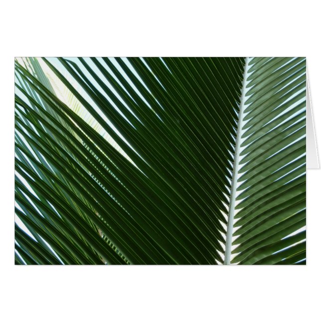 Überlappen von Palm Fronds Tropical Green Abstrakt (Vorderseite (Horizontal))