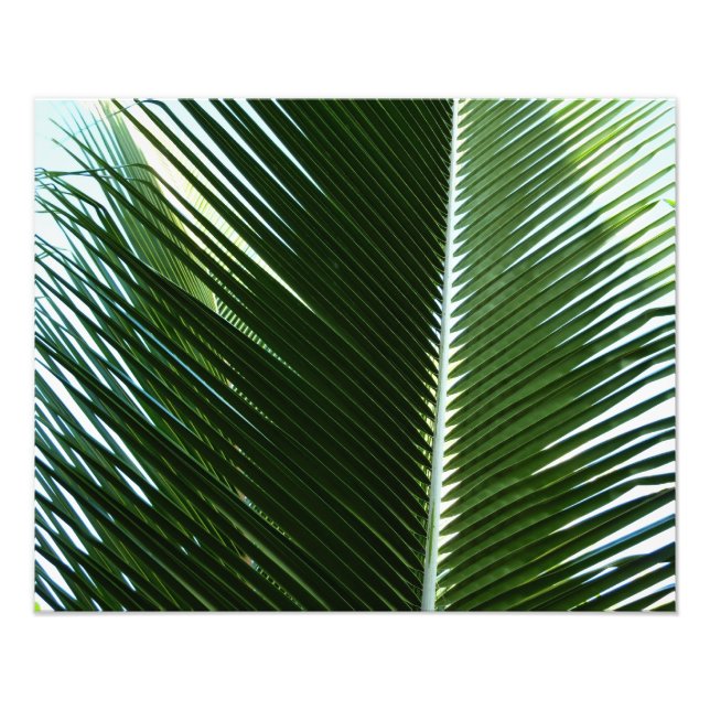 Überlappen von Palm Fronds Tropical Green Abstrakt Fotodruck (Vorne)