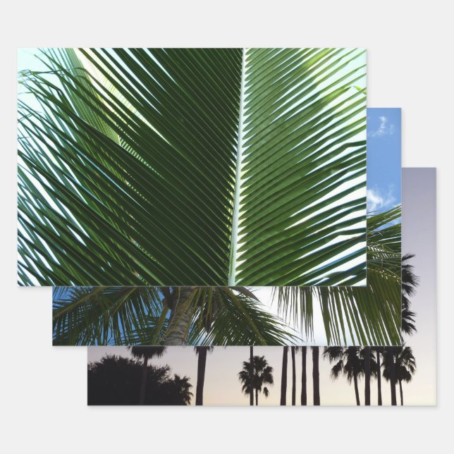 Überlappen von Palm Fronds Tropical Green Abstrakt Geschenkpapier Set (Set)