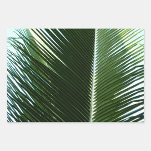 Überlappen von Palm Fronds Tropical Green Abstrakt Geschenkpapier Set