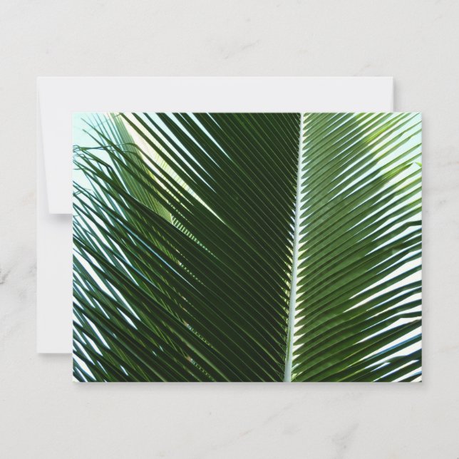Überlappen von Palm Fronds Tropical Green Abstrakt Karte (Vorderseite)