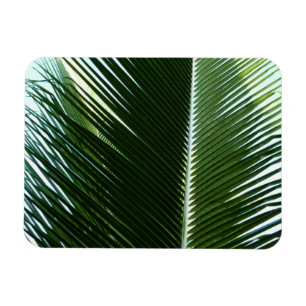 Überlappen von Palm Fronds Tropical Green Abstrakt Magnet