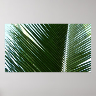 Überlappen von Palm Fronds Tropical Green Abstrakt Poster