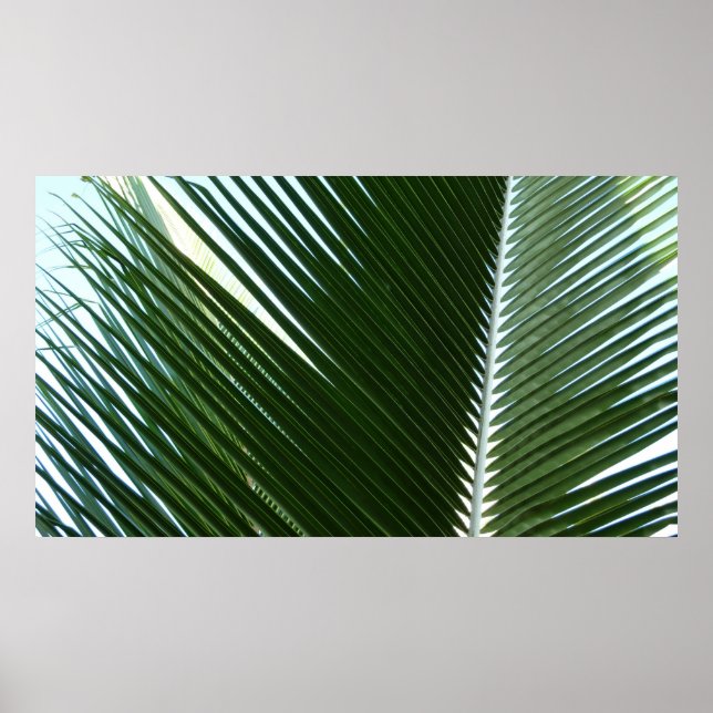Überlappen von Palm Fronds Tropical Green Abstrakt Poster (Vorne)