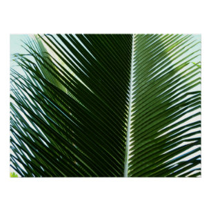 Überlappen von Palm Fronds Tropical Green Abstrakt Poster