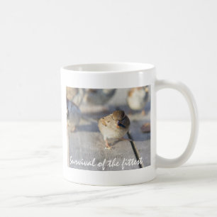 Überleben des Prüfkörpers Tasse