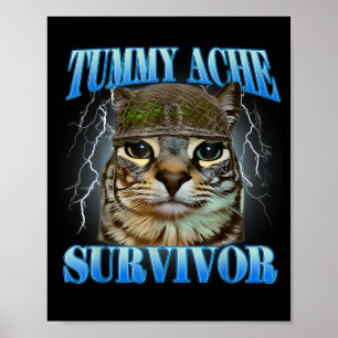 Überlebender von Bauchschmerzen Dummes Katzen-Meme Poster