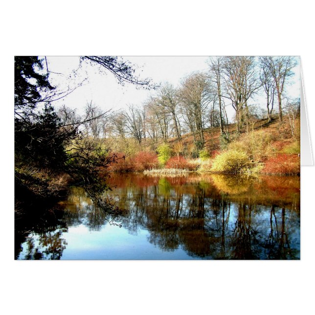 Überlegungen (Vorderseite (Horizontal))