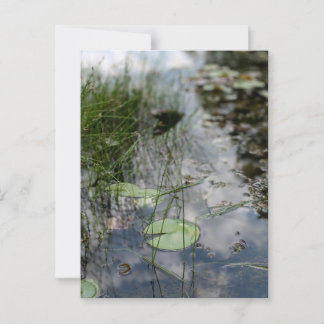 Überlegungen an der Wasserkante Postkarte