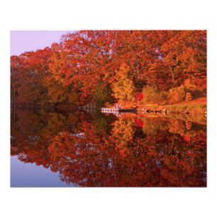 Überlegungen im Herbst Fotodruck