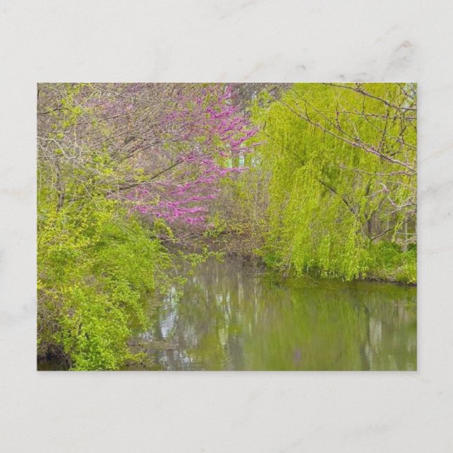 Überlegungen in der Natur Postkarte (Vorderseite)